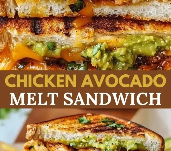 Delicious Chicken Avocado Melt Sandwich with cheese and fresh ingredients