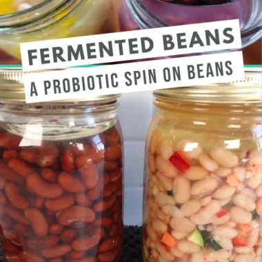 Plate of delicious fermented beans showcasing health benefits and culinary uses.