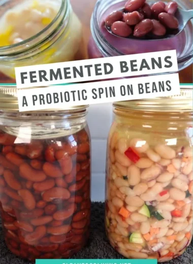 Plate of delicious fermented beans showcasing health benefits and culinary uses.
