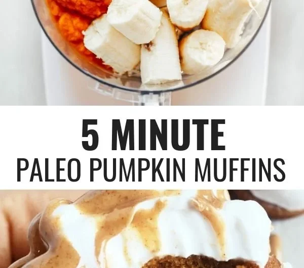 Gluten free paleo pumpkin protein muffins on a wooden table