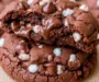 Hot Chocolate Cookies • Love From The Oven