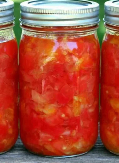 A can of diced tomatoes ready for cooking delicious recipes.