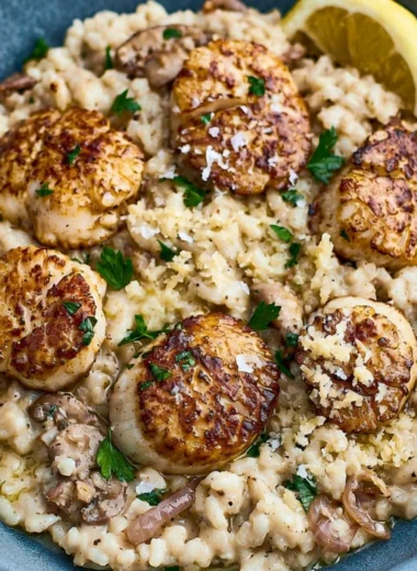 Delicious scallops served on creamy risotto in a gourmet dish