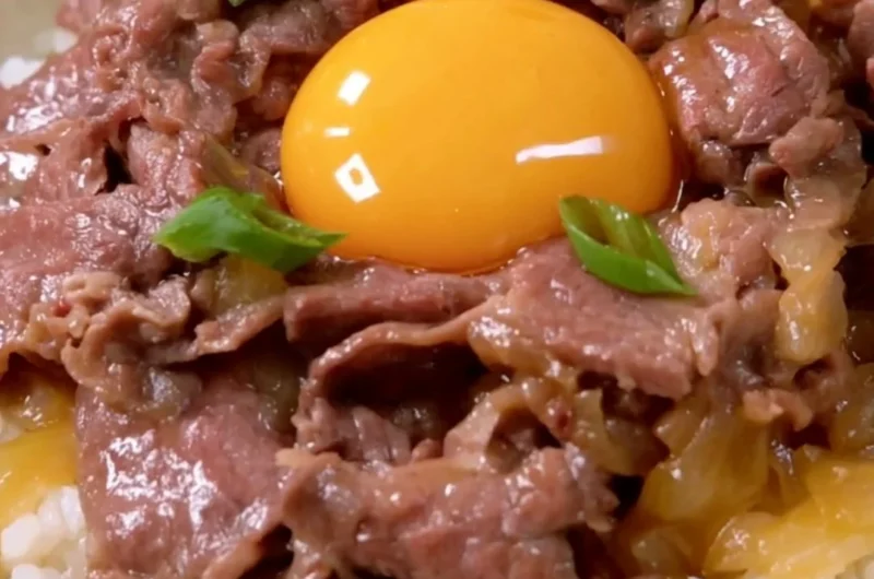 Delicious Cozy Gyudon Japanese beef bowl topped with scallions and egg.